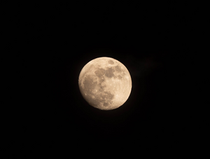 Traitement punaises de lit Tassin-la-Demi-Lune